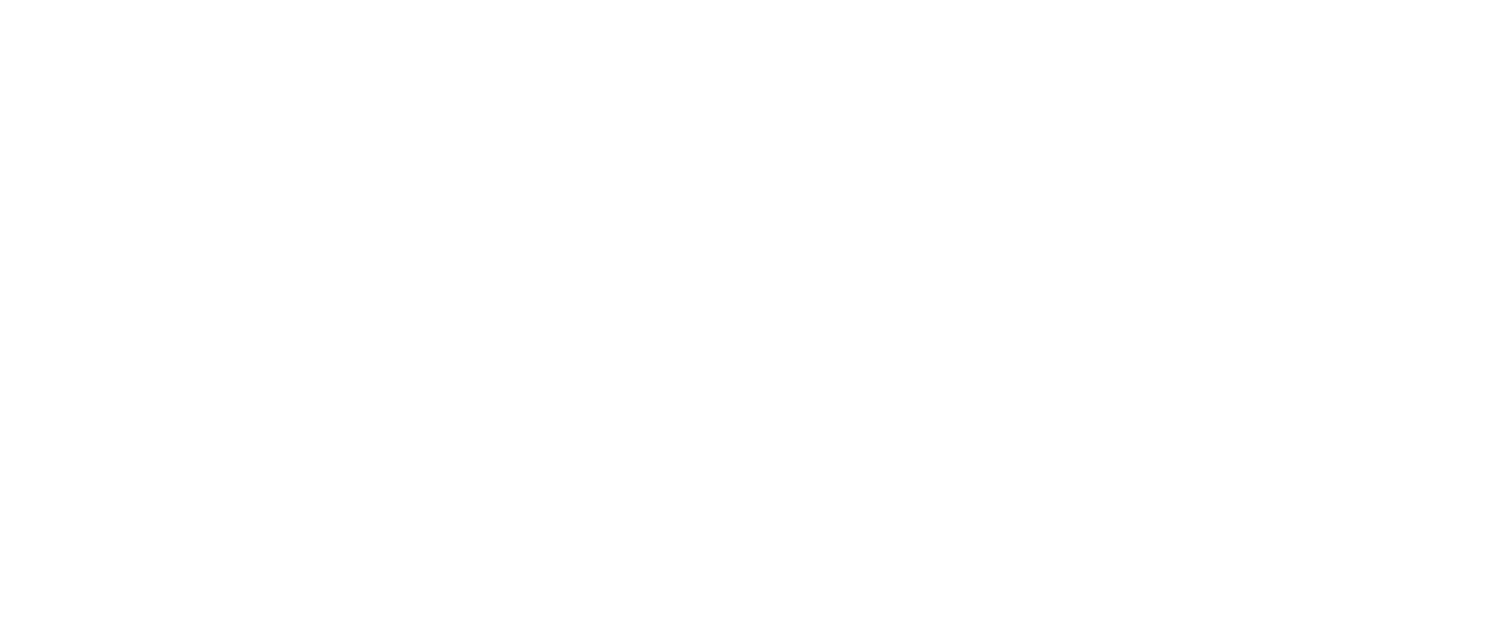 El Plan de Expansión